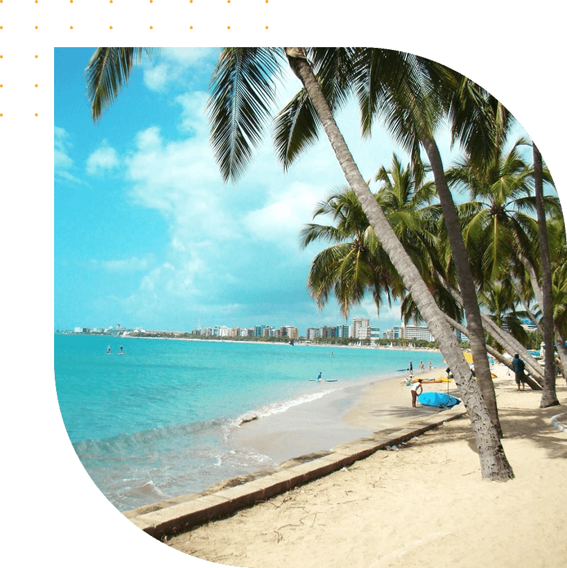 A beach with palm trees and people on it